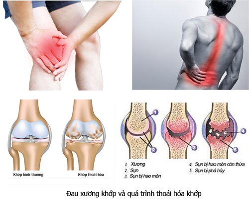 Sắc Đẹp Thanh Tâm