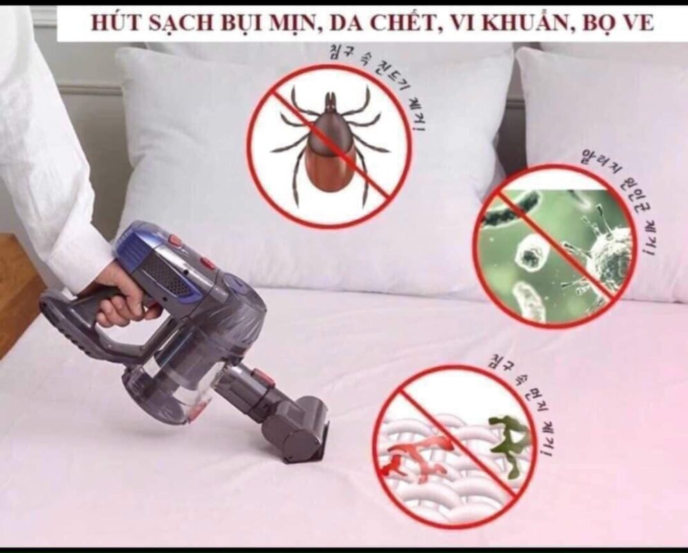 Sắc Đẹp Thanh Tâm